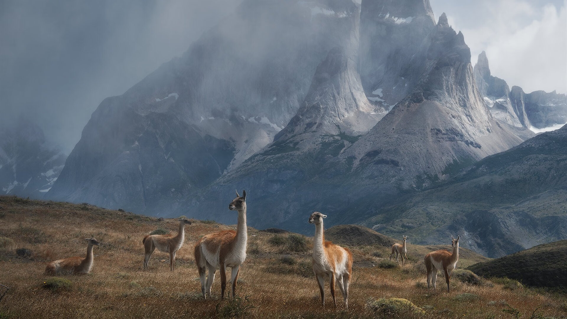 女子200蝶:节奏与爆发的完美结合,女子200米蝶泳决赛直播