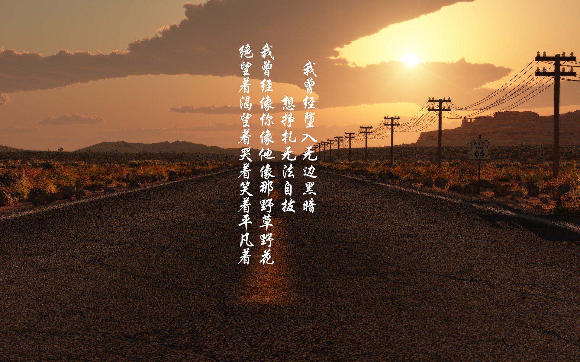 女子200蝶:节奏与爆发的完美结合,女子200米蝶泳决赛直播