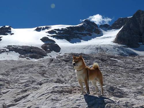 划频演变趋势：中国节奏趋稳，美国加快，划频和划距对游进速度有什么关系