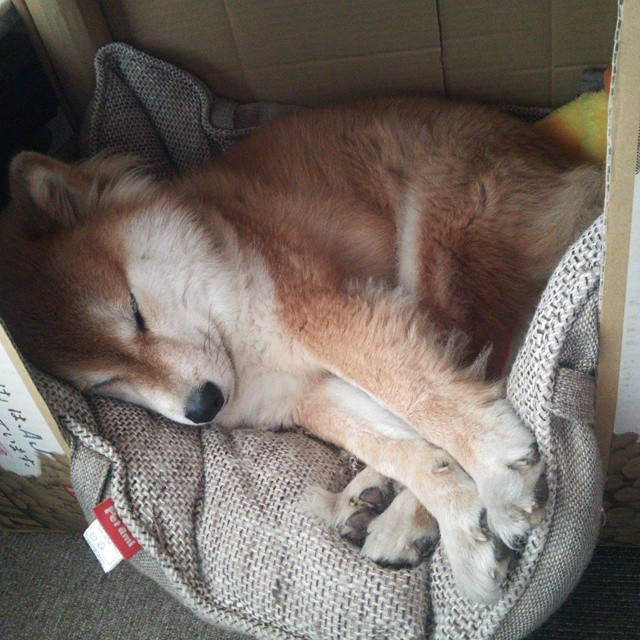 埃及乒乓队在2024年世界杯中的突破与发展,埃及乒乓队在2024年世界杯中的突破与发展